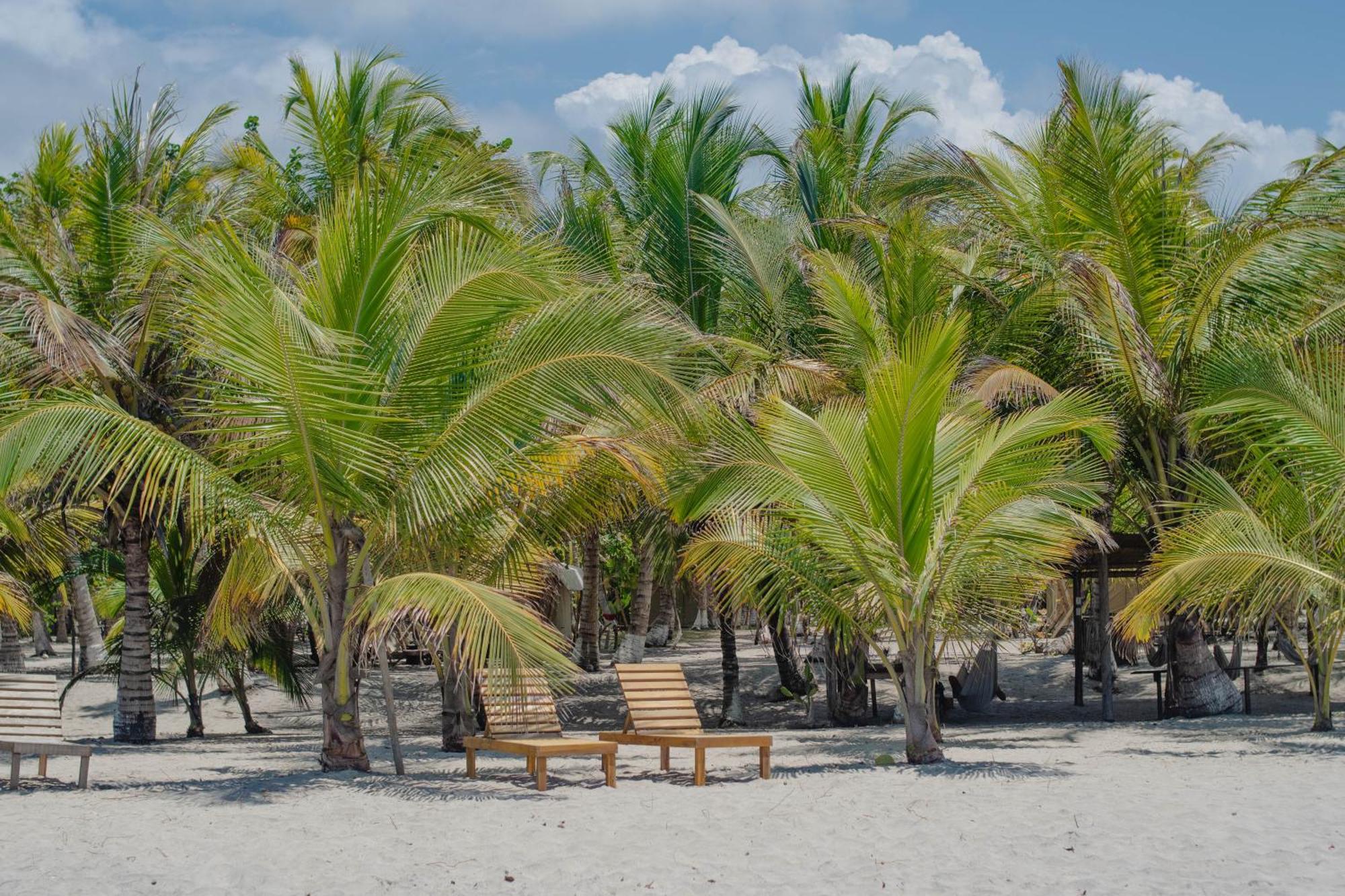 Manoush Beach Buritaca Exterior photo